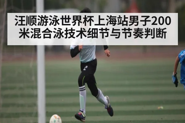 汪顺游泳世界杯上海站男子200米混合泳技术细节与节奏判断